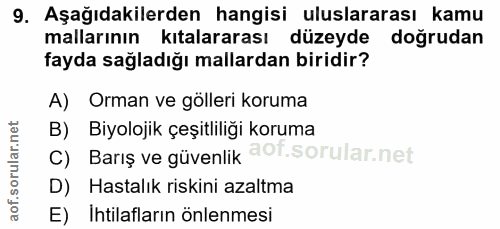 9. soru: Aşağıdakilerden hangisi uluslararası kamu mallarının kıtalararası düzeyde doğrudan fayda sağladığı mallardan biridir?…