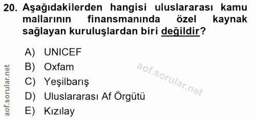 20. soru: Aşağıdakilerden hangisi uluslararası kamu mallarinın finansmanında özel kaynak sağlayan kuruluşlardan biri değildir?…