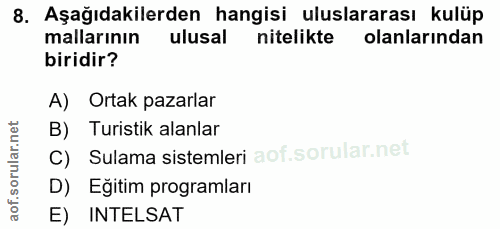 8. soru: Aşağıdakilerden hangisi uluslararası kulüp mallarının ulusal nitelikte olanlarından biridir? A) Ortak pazarlar B) Tur…