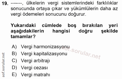 19. soru: —, ülkelerin vergi sistemlerindeki farklılıklar sonucunda ortaya çıkar ve yükümlülerin daha az vergi ödemeleri sonucu…