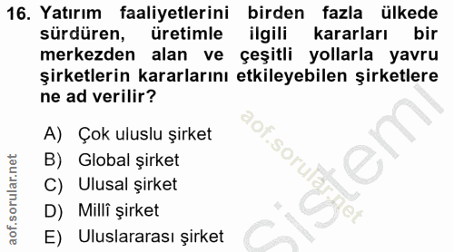 16. soru: Yatırım faaliyetlerini birden fazla ülkede sürdüren, üretimle ilgilim kararları bir merkezden alan ve çeşitli yollarl…