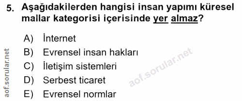 5. soru: Aşağıdakilerden hangisi insan yapımı küresel mallar kategorisi içerisinde yer almaz? A) Internet B) Evrensel insan ha…
