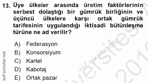 13. soru: Uye ülkeler arasında üretim faktörlerinin serbest dolaştığı bir gümrük birliğinin ve üçüncü ülkelere karşı ortak gümr…