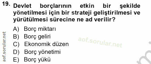 19. soru: Devlet borçlarının etkin bir şekilde yönetilmesi için bir strateji geliştirilmesi ve yürütülmesi sürecine ne ad veril…