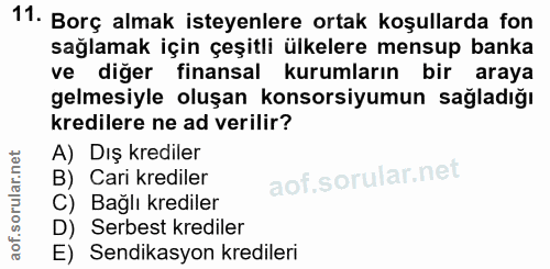 11. soru: Borç almak isteyenlere ortak koşullarda fon sağlamak için çeşitli ülkelere mensup banka ve diğer finansal kurumların…