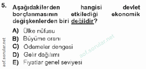 5. soru: Aşağıdakilerden hangisi devlet borçlanmasının etkilediği ekonomik degişkenlerden biri değildir? A) Ulke nüfusu B) Büy…