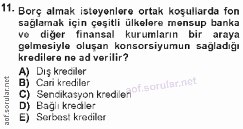 11. soru: Borç almak isteyenlere ortak koşullarda fon sağlamak için çeşitli ülkelere mensup banka ve diğer finansal kurumların…