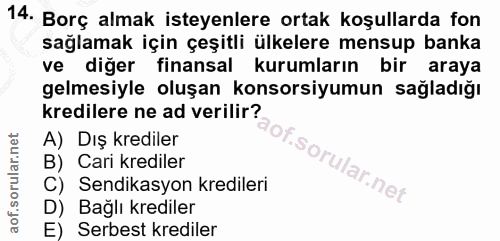 14. soru: Borç almak isteyenlere ortak koşullarda fon sağlamak için çeşitli ülkelere mensup banka ve diğer finansal kurumların…