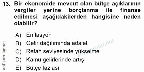 13. soru: Bir ekonomide mevcut olan bütçe açıklarının vergiler yerine borçlanma ile finanse edilmesi aşağıdakilerden hangisine…