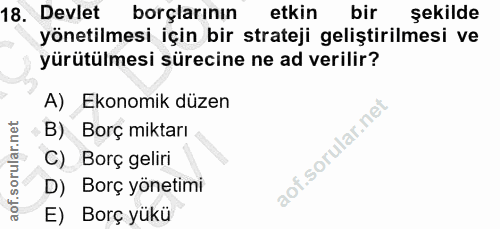 18. soru: Devlet borçlarının etkin bir şekilde yönetilmesi için bir strateji geliştirilmesi ve yürütülmesi sürecine ne ad veril…