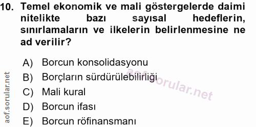 10. soru: Temel ekonomik ve mali göstergelerde daimi nitelikte bazı sayısal hedeflerin, sınırlamaların ve ilkelerin belirlenmes…