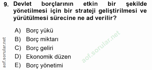 9. soru: Devlet borçlarının etkin bir şekilde yönetilmesi için bir strateji geliştirilmesi ve yürütülmesi sürecine ne ad veril…