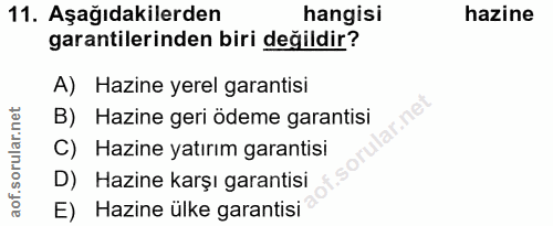 11. soru: Aşağıdakilerden hangisi hazine garantilerinden biri değildir? A) Hazine yerel garantisi B) Hazine geri ödeme garantis…