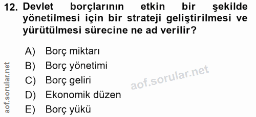 12. soru: Devlet borçlarının etkin bir şekilde yönetilmesi için bir strateji geliştirilmesi ve yürütülmesi sürecine ne ad veril…