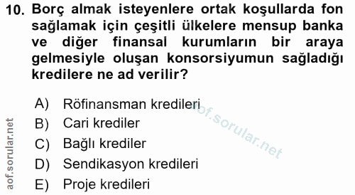 10. soru: Borç almak isteyenlere ortak koşullarda fon sağlamak için çeşitli ülkelere mensup banka ve diğer finansal kurumların…