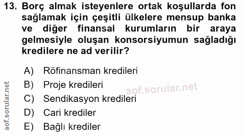 13. soru: Borç almak isteyenlere ortak koşullarda fon sağlamak için çeşitli ülkelere mensup banka ve diğer finansal kurumların…