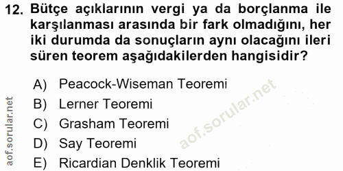 12. soru: Bütçe açıklarının vergi ya da borçlanma ile karşılanması arasında bir fark olmadığını, her iki durumda da sonuçların…