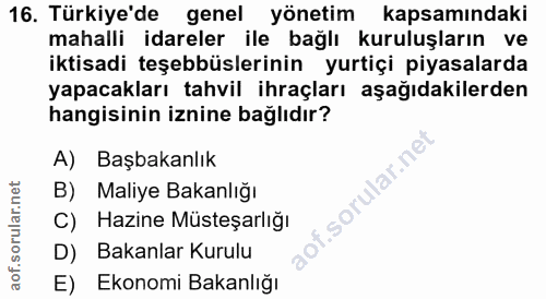 16. soru: Türkiye'de genel yönetim kapsamındaki mahalli idareler ile bağlı kuruluşların ve iktisadi teşebbüslerinin yurtiçi piy…