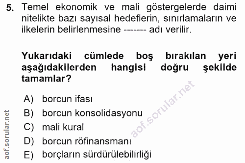 5. soru: Temel ekonomik ve mali göstergelerde daimi nitelikte bazı sayısal hedeflerin, sınırlamaların ve ilkelerin belirlenmes…