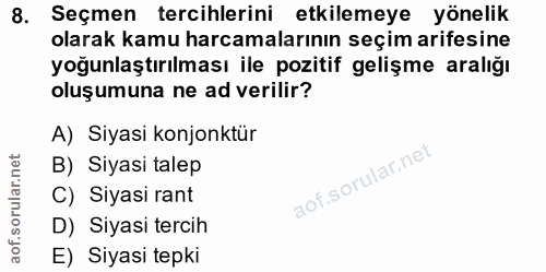 8. soru: Seçmen tercihlerini etkilemeye yönelik olarak kamu harcamalarının seçim arifesine yoğunlaştırılması ile pozitif geliş…