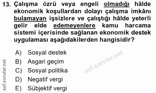 13. soru: Çalışma özrü veya engeli olmadığı hâlde ekonomik koşullardan dolayı çalışma imkânı bulamayan işsizlere ve çalıştığı h…