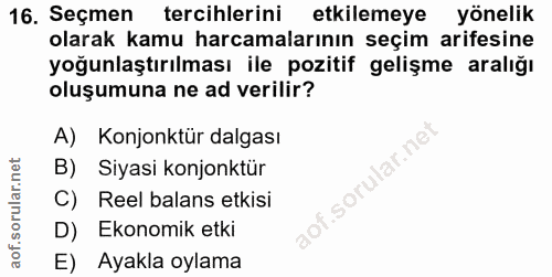 16. soru: Seçmen tercihlerini etkilemeye yönelik olarak kamu harcamalarının seçim arifesine yoğunlaştırılması ile pozitif geliş…