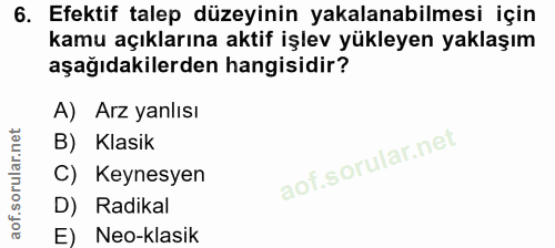 6. soru: Efektif talep düzeyinin yakalanabilmesi için kamu açıklarına aktif işlev yükleyen yaklaşım aşağıdakilerden hangisidir…