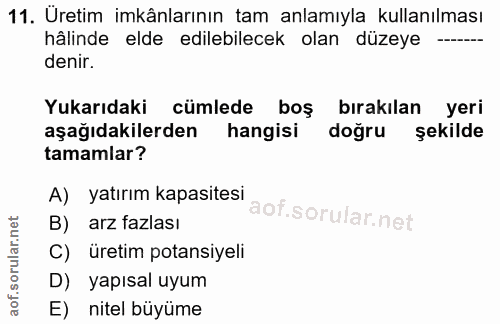 11. soru: Uretim imkânlarının tam anlamıyla kullanılması hâlinde elde edilebilecek olan düzeye -- denir. Yukarıdaki cümlede boş…