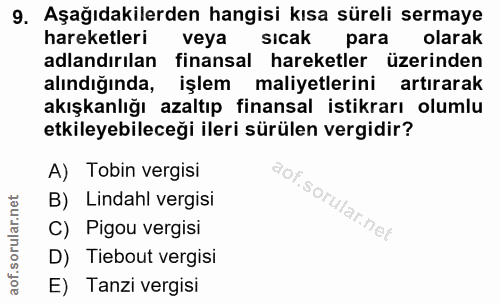 9. soru: Aşağıdakilerden hangisi kısa süreli sermaye hareketleri veya sıcak para olarak adlandırılan finansal hareketler üzeri…