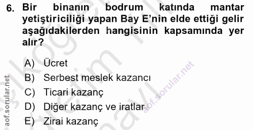 6. soru: Bir binanın bodrum katında mantar yetiştiriciliği yapan Bay E'nin elde ettiği gelir aşağıdakilerden hangisinin kapsam…