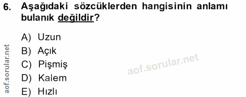 6. soru: Aşağıdaki sözcüklerden hangisinin anlamı bulanık değildir? A) Uzun B) Açık C) Pişmiş D) Kalem E) Hızlı