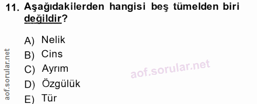 11. soru: Aşağıdakilerden hangisi beş tümelden biri değildir? A) Nelik B) Cins C) Ayrım D) Özgülük E) Tür