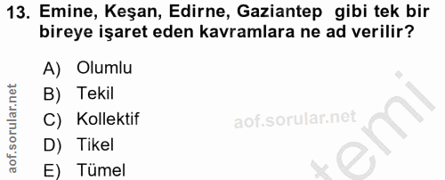 13. soru: Emine, Keşan, Edirne, Gaziantep gibi tek bir bireye işaret eden kavramlara ne ad verilir? A) Olumlu B) Tekil C) Kolek…
