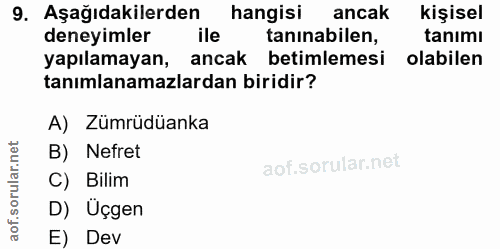 9. soru: Aşağıdakilerden hangisi ancak kişisel deneyimler ile taninabilen, tanımı yapılamayan, ancak betimlemesi olabilen tanı…