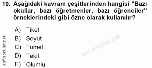 19. soru: Aşağıdaki kavram çeşitlerinden hangisi "Bazı okullar, bazı öğretmenler, bazı öğrenciler" örneklerindeki gibi özne ola…