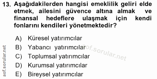 13. soru: Aşağıdakilerden hangisi emeklilik geliri elde etmek, ailesini güvence altına almak ve finansal hedeflere ulaşmak için…