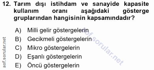 12. soru: Tarım dışı istihdam ve sanayide kapasite kullanım oranı aşağıdaki gösterge gruplarından hangisinin kapsamındadır? A)…
