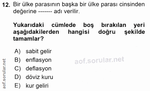 12. soru: Bir ülke parasının başka bir ülke parası cinsinden değerine --_ adı verilir. Yukarıdaki cümlede boş bırakılan yeri aş…