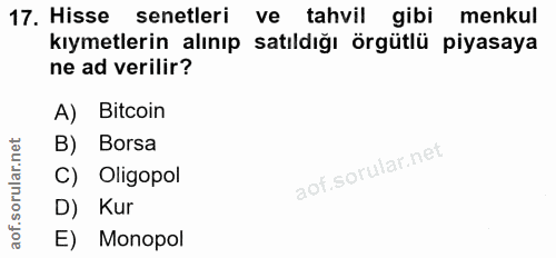 17. soru: Hisse senetleri ve tahvil gibi menkul kıymetlerin alınıp satıldığı örgütlü piyasaya ne ad verilir? A) Bitcoin B) Bors…