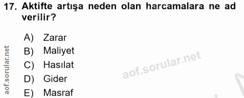 17. soru: Aktifte artışa neden olan harcamalara ne ad verilir? A) Zarar B) Maliyet C) Hasılat D) Gider E) Masraf