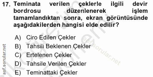 17. soru: Teminata verilen çeklerle ilgili devir bordrosu düzenlenerek işlem tamamlandıktan sonra, ekran görüntüsünde aşağıdaki…