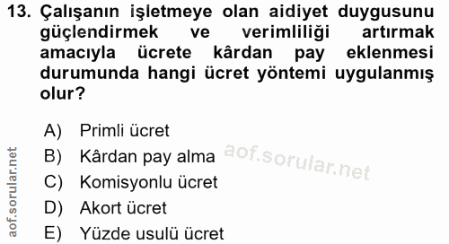 13. soru: Çalışanın işletmeye olan aidiyet duygusunu güçlendirmek ve verimliliği artırmak amacıyla ücrete kardan pay eklenmesi…