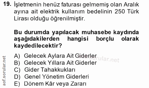 19. soru: Işletmenin henüz faturası gelmemiş olan Aralık ayına ait elektrik kullanım bedelinin 250 Türk Lirası olduğu öğrenilmi…