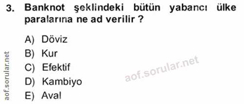 3. soru: Banknot şeklindeki bütün yabancı ülke paralarına ne ad verilir ? A) Döviz B) Kur C) Efektif D) Kambiyo of. E) Aval