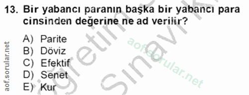 13. soru: Bir yabancı paranın başka bir yabancı para cinsinden değerine ne ad verilir? A) Parite B) Döviz C) Efektif ста rular.…