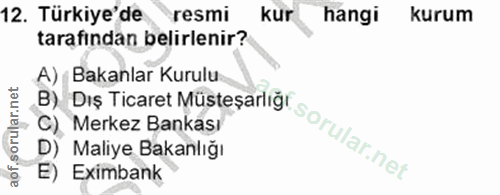 12. soru: Türkiye'de resmi kur hangi kurum tarafindan belirlenir? A) Bakanlar Kurulu B) Dış Ticaret Müsteşarlig' sorularnet C)…