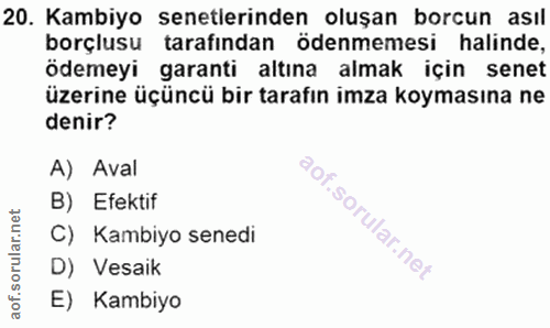 20. soru: Kambiyo senetlerinden oluşan borcun asıl borçlusu tarafından ödenmemesi halinde, ödemeyi garanti altına almak için se…