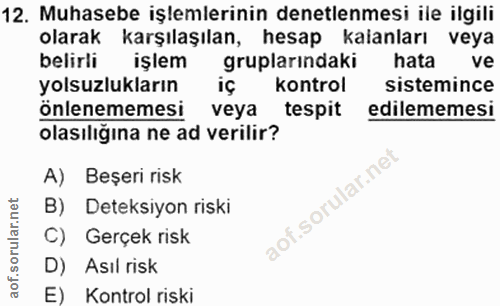 12. soru: Muhasebe işlemlerinin denetlenmesi ile ilgili olarak karşılaşılan, hesap kalanları veya belirli işlem gruplarındaki h…