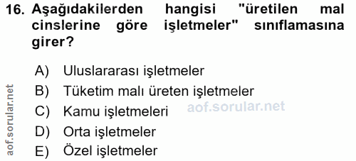 16. soru: Aşağıdakilerden hangisi "üretilen mal cinslerine göre işletmeler" sınıflamasına girer? A) Uluslararası işletmeler B)…