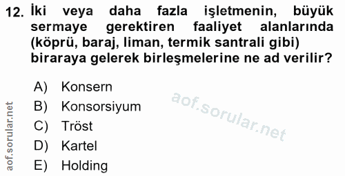 12. soru: Iki veya daha fazla işletmenin, büyük sermaye gerektiren faaliyet alanlarında (köprü, baraj, liman, termik santrali g…
